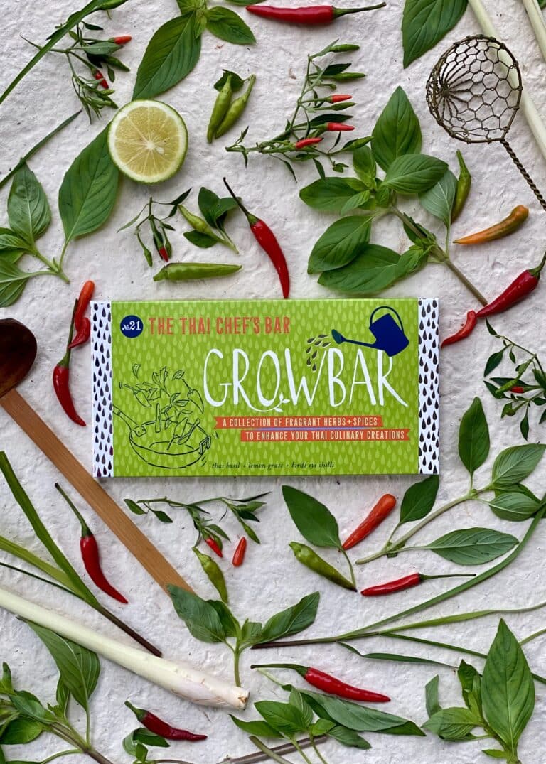 Unlock the secrets of Thai cooking with our Thai herb garden kit! Cultivate fresh herbs like lemongrass for vibrant flavours in your dishes.