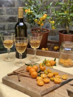 A trio of small wine glasses filled with orange wine next to a wooden board with whole and halves calamondin oranges and cinnamon sticks and a wooden tray with a calamondin orange tree in a plastic pot and a dark bottle standing next to it.