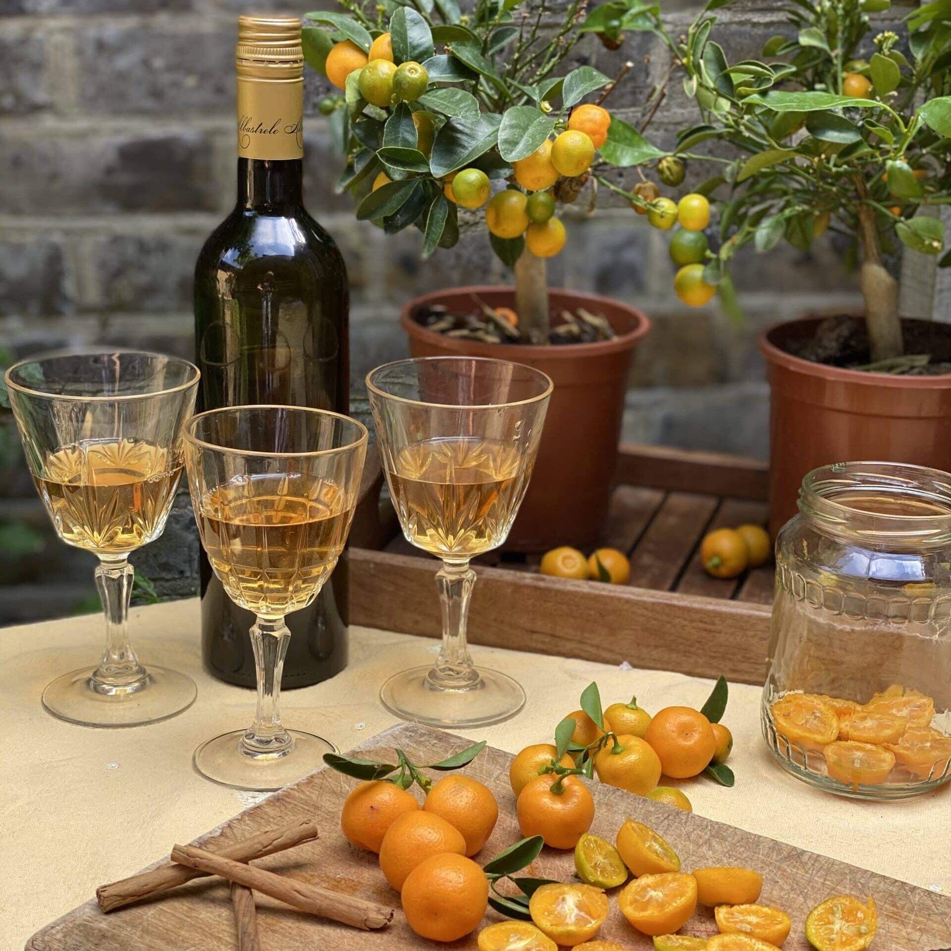 A trio of small wine glasses filled with orange wine next to a wooden board with whole and halves calamondin oranges and cinnamon sticks and a wooden tray with a calamondin orange tree in a plastic pot and a dark bottle standing next to it.