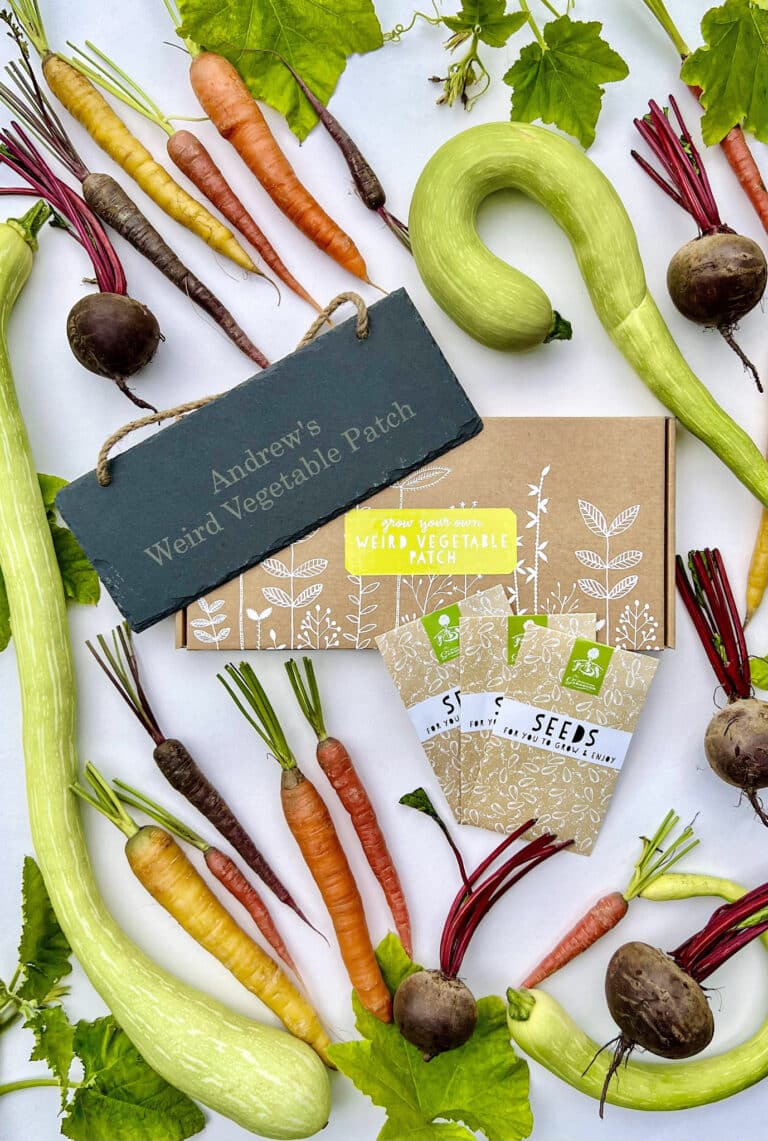 A decorated presentation box for growing a vegetable garden with a trio of seed packets, a large personalised engraved hanging garden slate and a selection of root vegetables such as Striped Beetroot (Chioggia), Rainbow Carrots and Tromboncino Squash decoratively placed around the gift set.