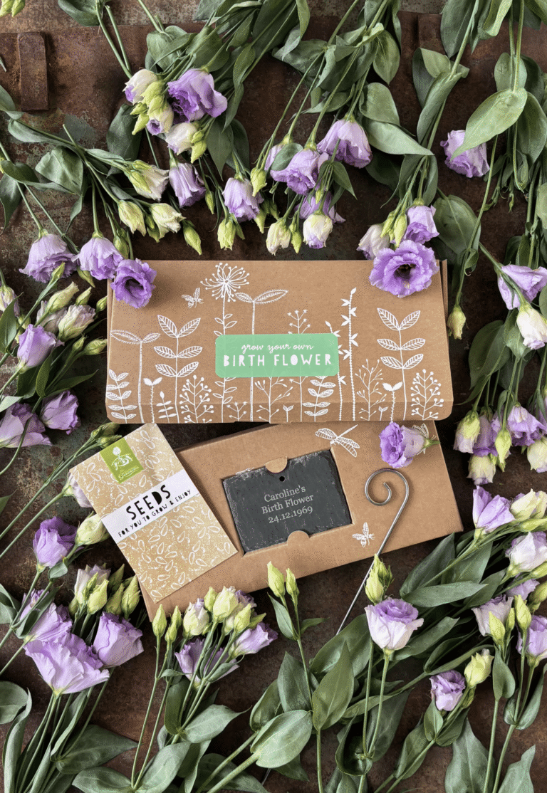 December birth flower seeds with purple flowers