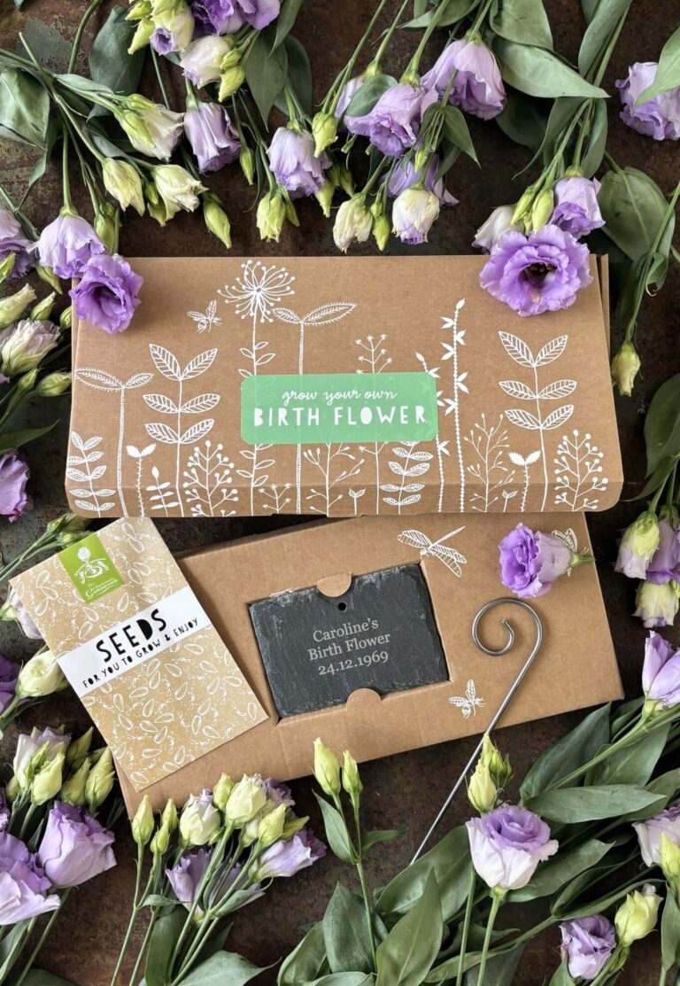 December birth flower seeds with purple flowers