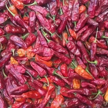 A sea of deep red and bright red dried chillies.