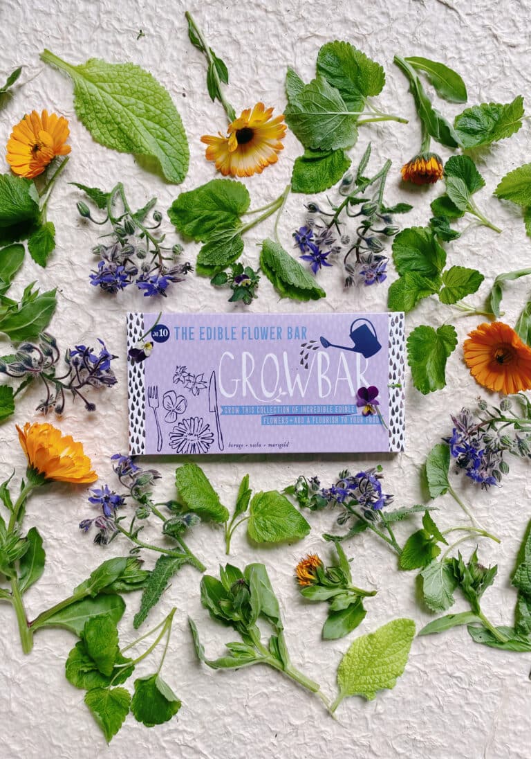 A lilac growbar for edible flowers surrounded by green leaves and purple flowers of Borage & orange flowers of Marigold.