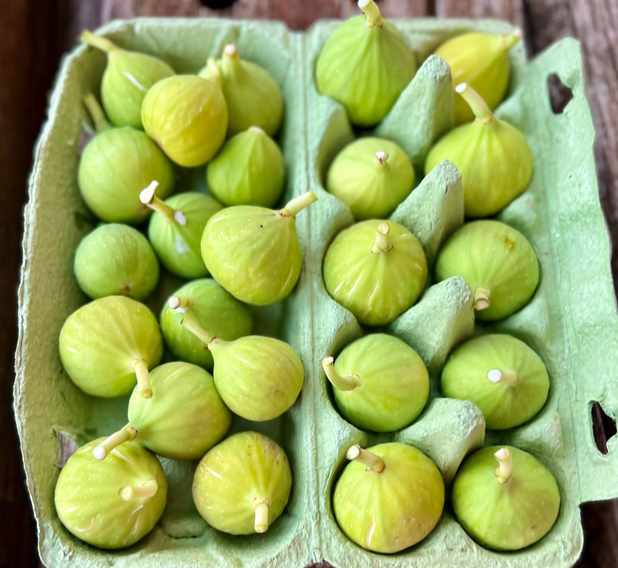 Close up of small green Figs in green egg carton.