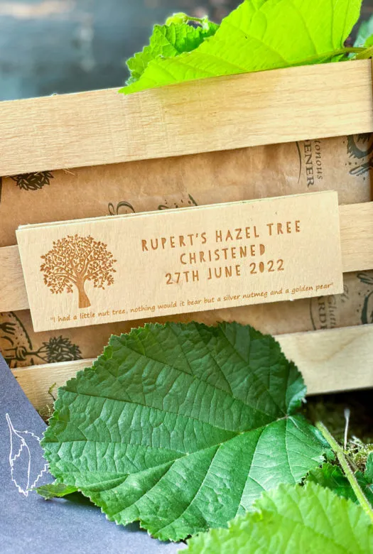 Close up of a wooden gift crate with a personalised wooden plaque framed by two large green hazel tree leaves.