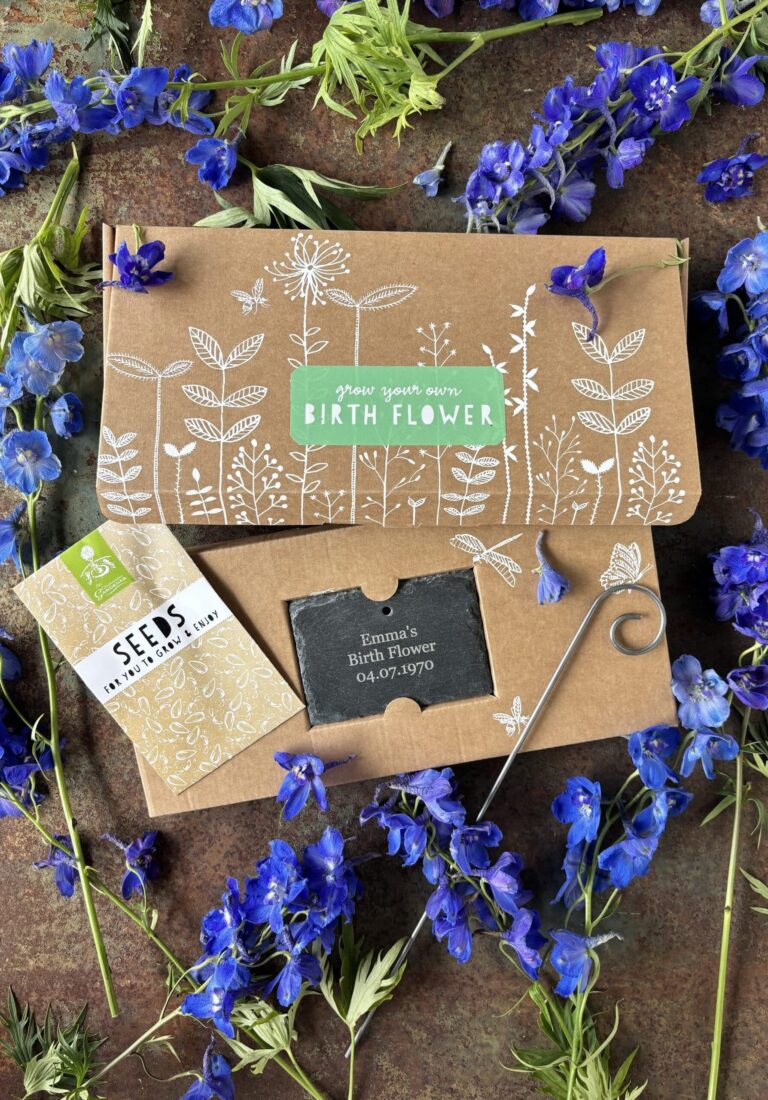A beautifully decorated cardboard gift box for growing birth flowers with a personalised engraved garden slate. a packet of seeds and a gift card with arrangement of blue and purple Larkspur flowers decoratively framing the gift set.