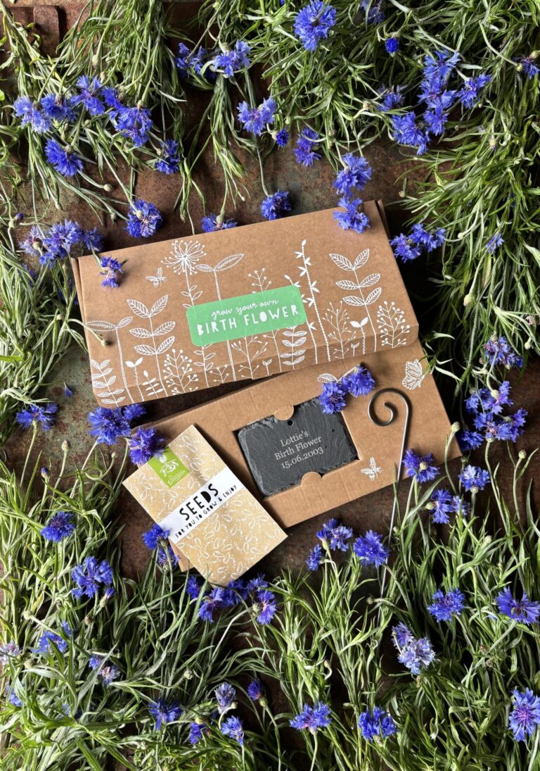 A beautifully decorated cardboard gift box for growing birth flowers with a personalised engraved garden slate. a packet of seeds and a gift card with arrangement of blue Cornflowers decoratively framing the gift set.