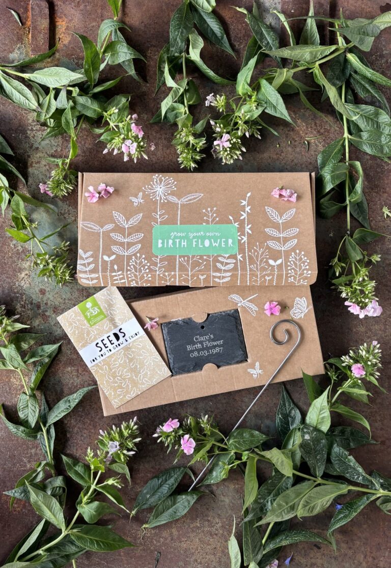 A beautifully decorated cardboard gift box for growing birth flowers with a personalised engraved garden slate. a packet of seeds and a gift card with arrangement of pink Phlox flowers decoratively framing the gift set.