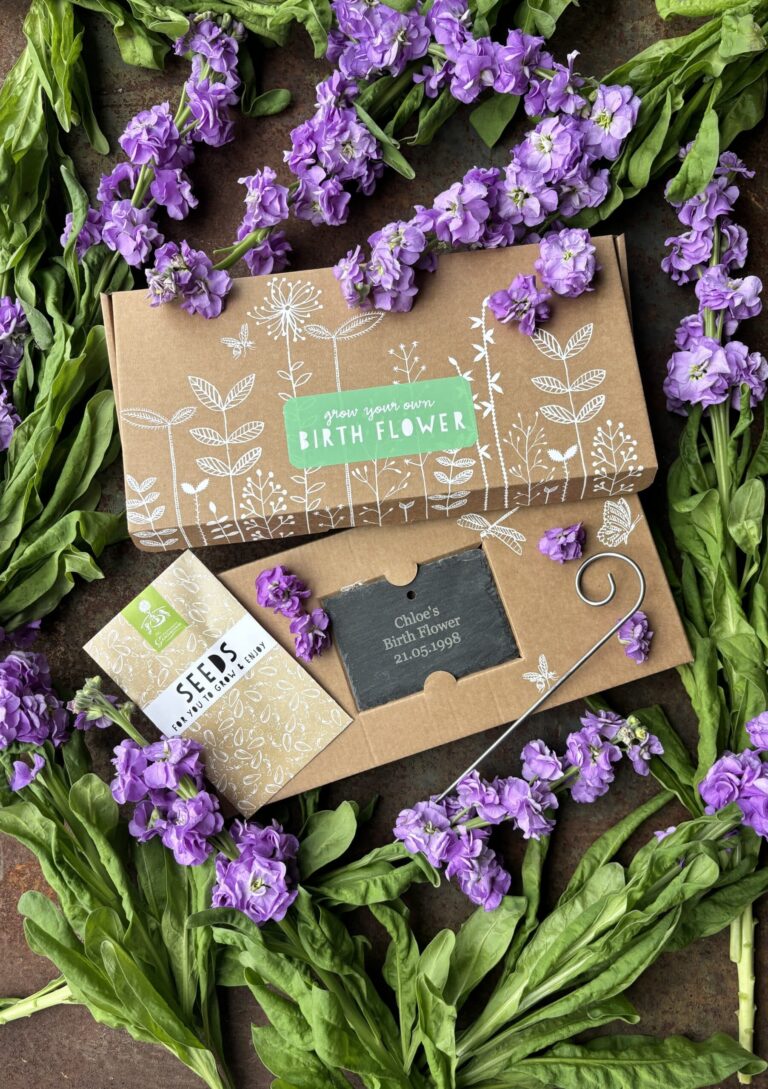 A beautifully decorated cardboard gift box for growing birth flowers with a personalised engraved garden slate. a packet of seeds and a gift card with arrangement of purple stock flowers decoratively framing the gift set.