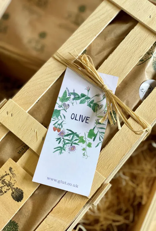 A wooden gift crate wit a gift tag that reads 'Olive'