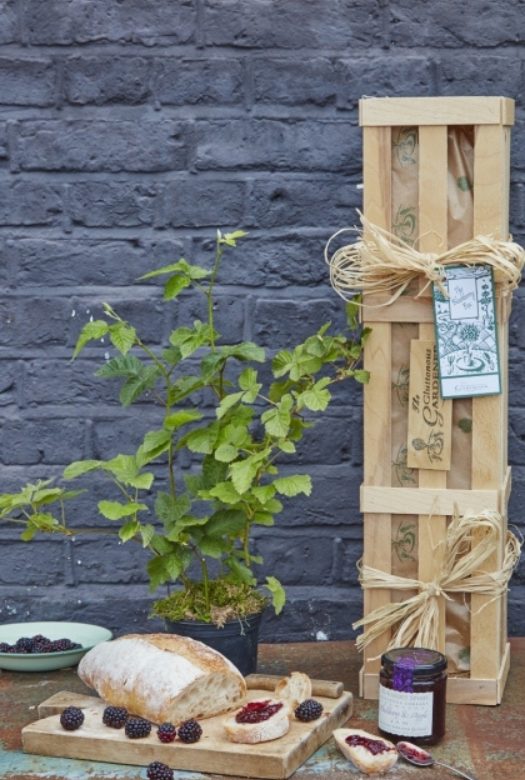 A small blackberry bush behind a wooden board with a bread loaf and a few bread slices with blackberry jam spread on top surrounded by fresh blackberries. A jar of blackberry jam and a wooden gift create with a tag attached to it are placed on the right , a small white plate with fresh blackberries are places on the left to this ensemble.