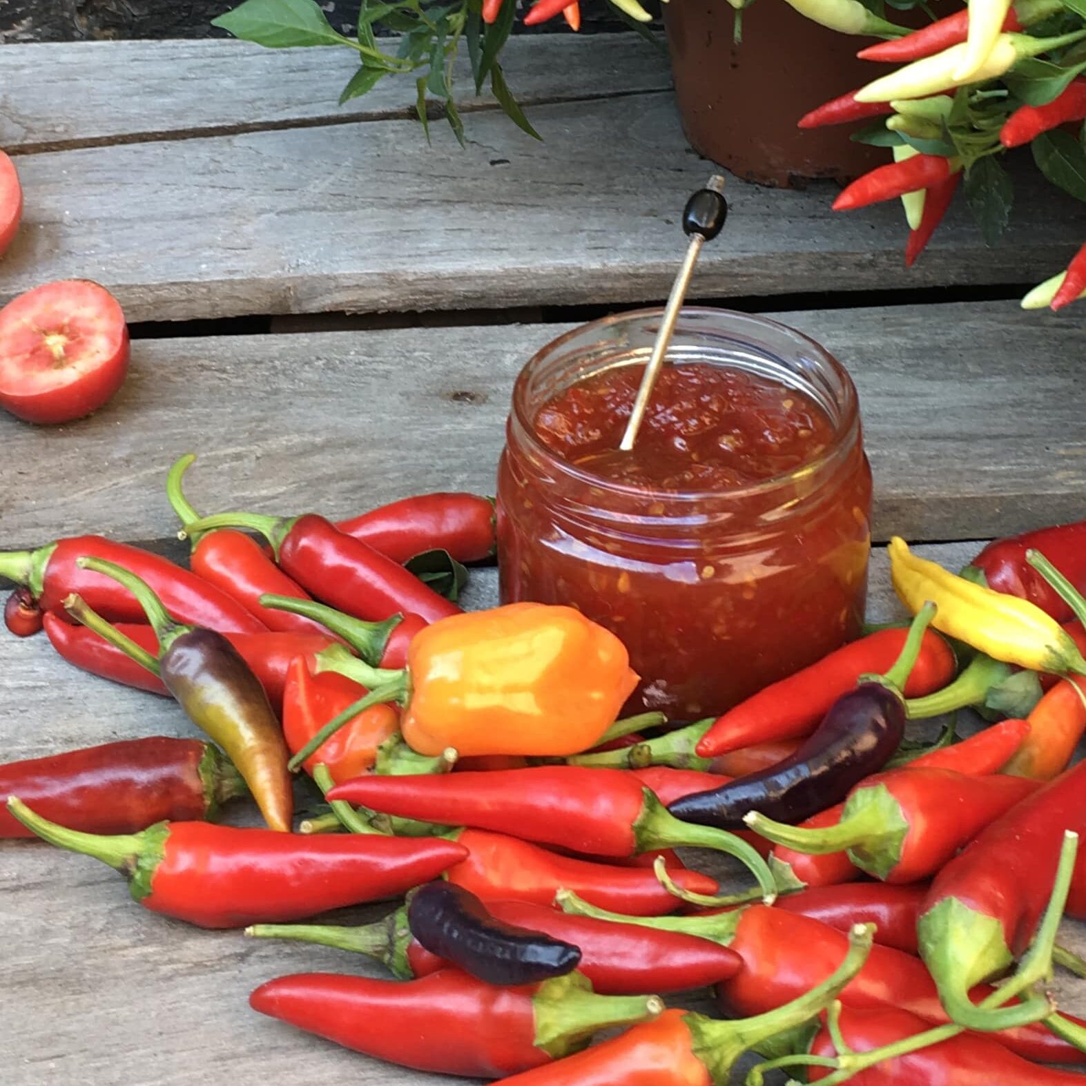 A jar filled with a red chilli jam nestled in a pile of red, orange and black chillies.