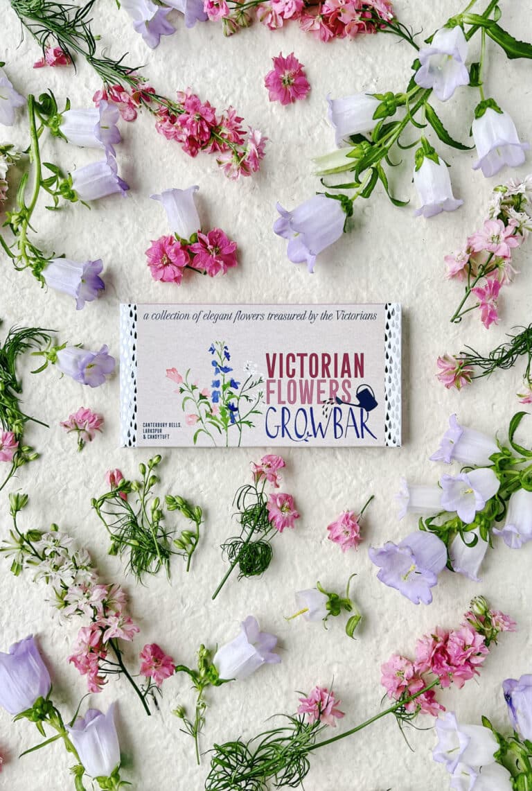 A grey colored growbar package for growing victorian flowers with an arrangement of flowers of Canterbury Bells, Larkspur & Candytuft in pink and purple colours placed around the growbar.