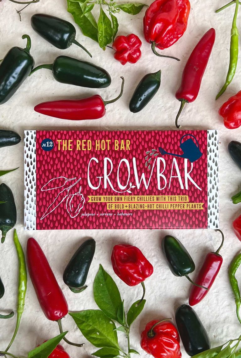 Red Hot Growbar with habanero, jalapeno, and serrano chilli plants ready to grow at home
