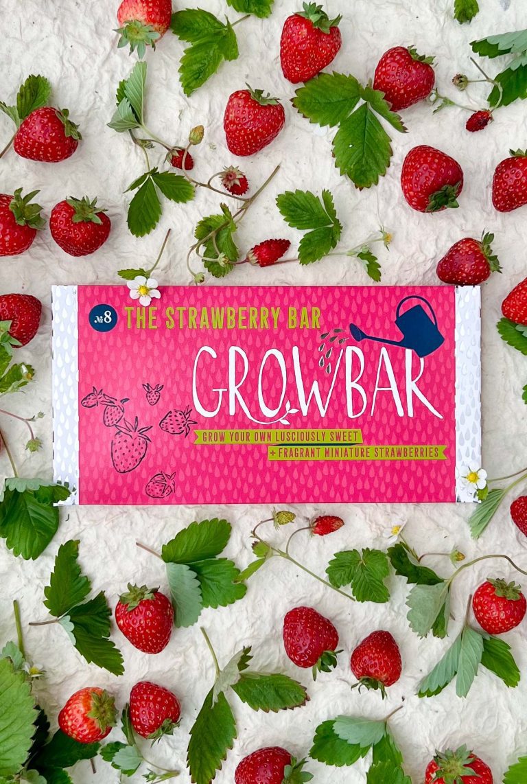 Strawberry Growbar displayed with red strawberries against white backdrop.