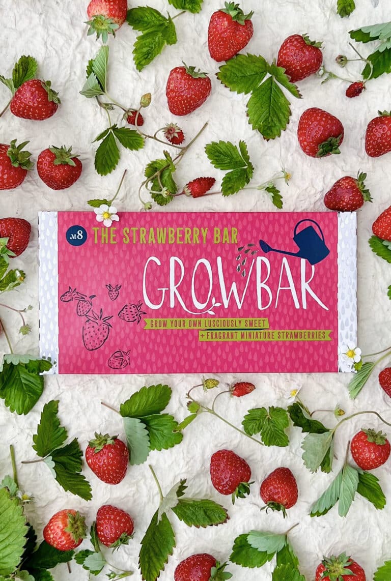 Strawberry Growbar displayed with red strawberries against white backdrop.