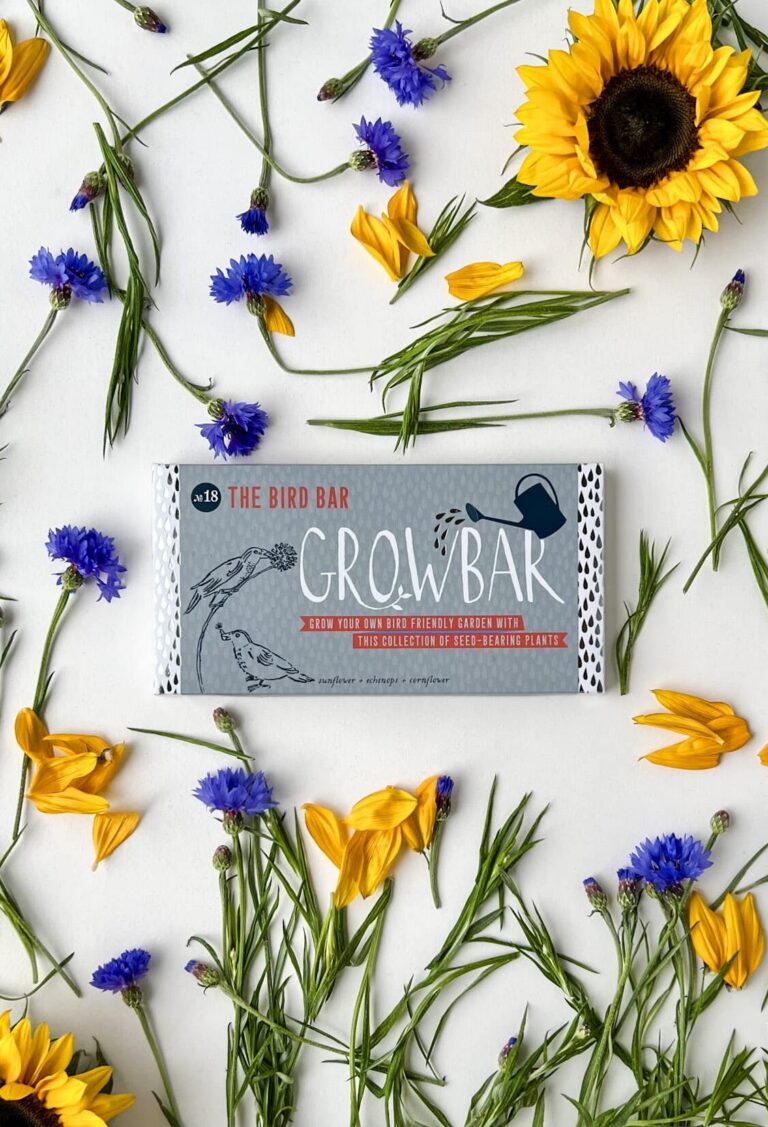 A grey bird growbar surrounded by yellow sunflower petals and blue cornflowers.