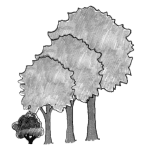 Illustration of a row of trees with a bush.