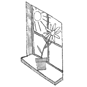 Illustration of a flower growing indoors on a windowsill with the sun shining outside.