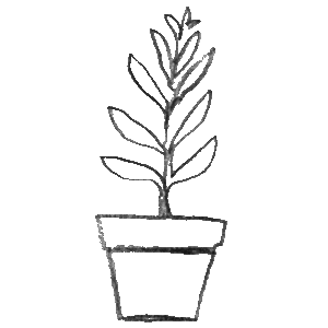 Illustration of a potted plant.
