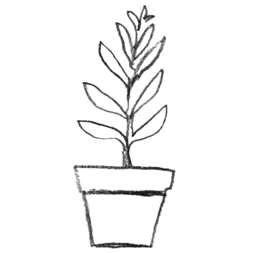 Illustration of a potted plant.