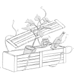 Illustration of an open wooden crate with a potted plant, jar of jam and bottle of wine.