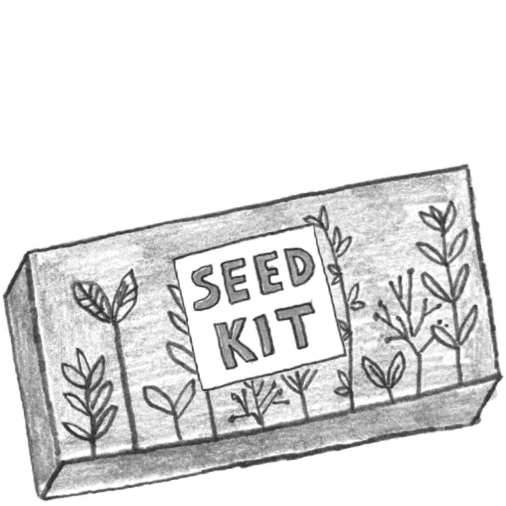 Illustration of a seed kit.