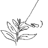 Illustration of a nose smelling the scent of a plant.
