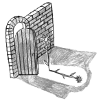 Illustration of a flower growing in the shade by a garden wall with an open door.