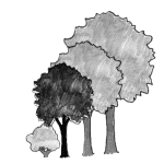 Illustration of a row of trees with a small tree.