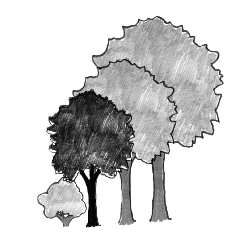 Illustration of a row of trees with a small tree.