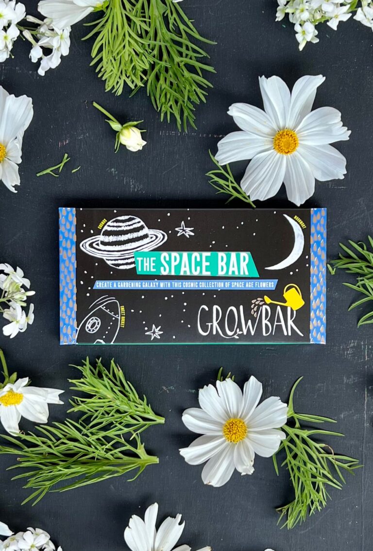 The Space Bar being shown with different plants and flowers from the bar.