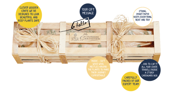 A wooden gift crate with a wooden plaque, two ribbons and descriptions.