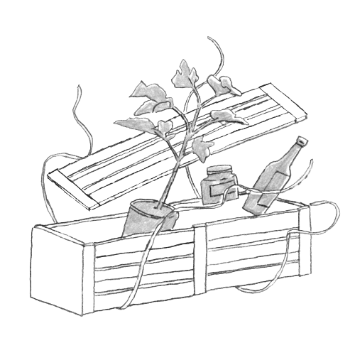 Illustration of an open wooden crate with plant, bottle of wine and jam inside.