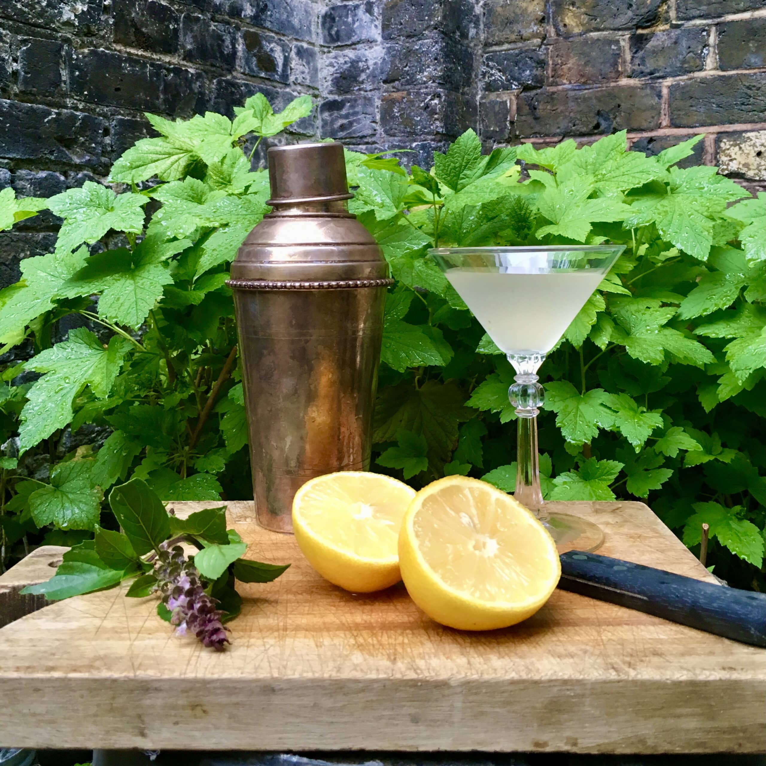 A martini glass with a cocktail, a bronze cocktail shaker and two slices of lime on a wooden board in front of green foliage.