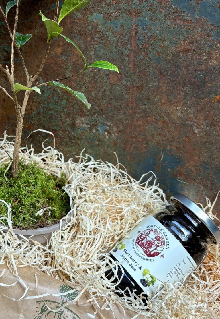 Blackberry and apple jam nestled in wood wool beside a potted tea plant, styled against a rustic metal backdrop.