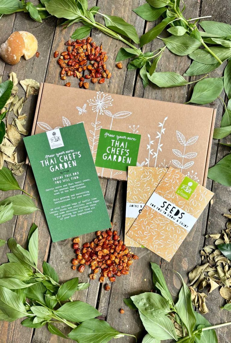 Delight the Thai food lover in your life with our Thai food garden gift set! Grow fragrant basil and garlic chives to enhance their dishes.
