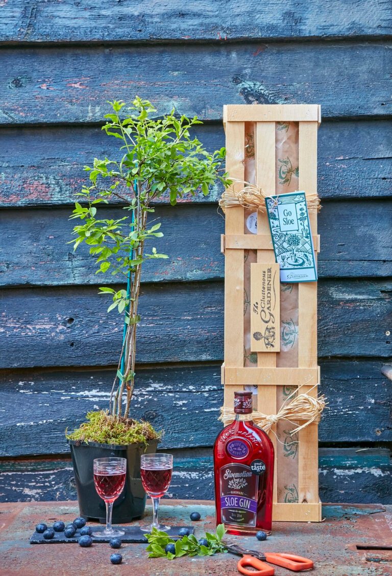 Celebrate retirement with an unforgettable sloe gin gift idea. Our Sloe Gin Crate includes sloe bushes and a delightful bottle of gin!