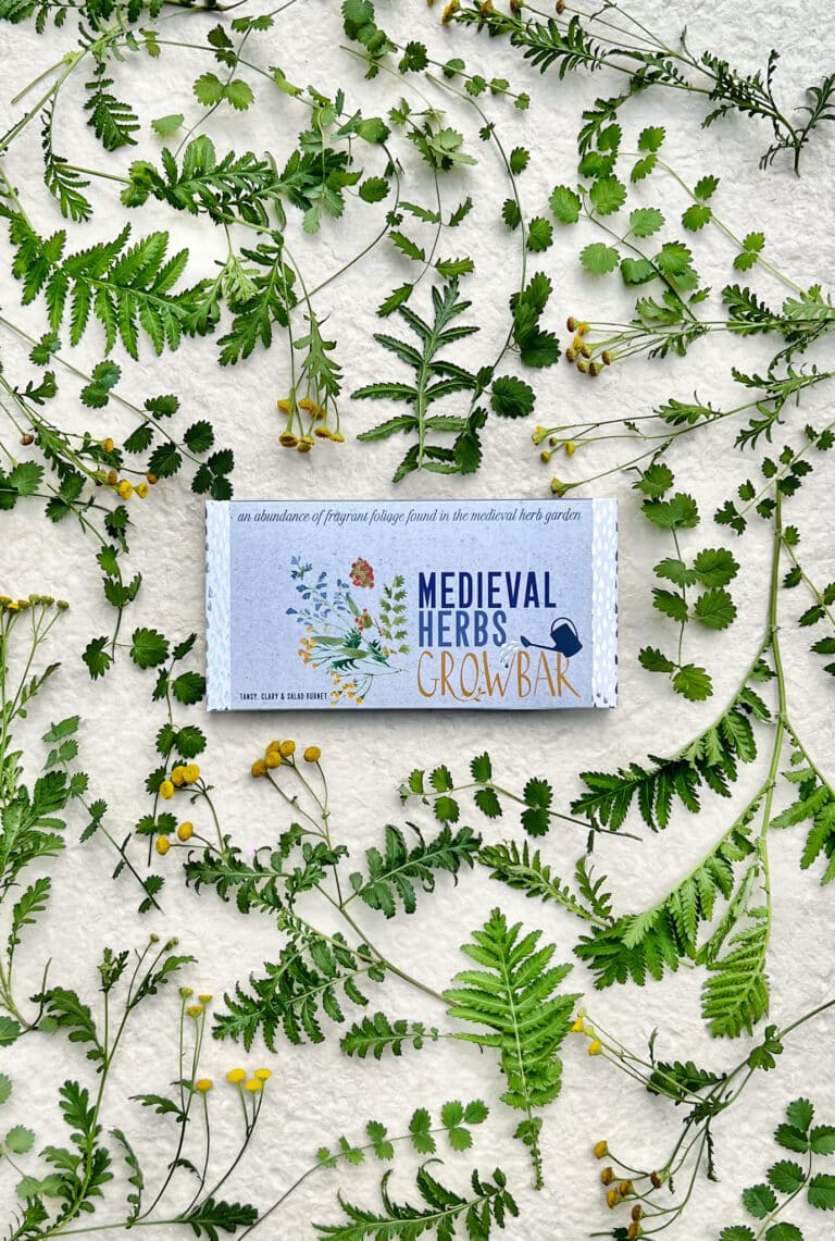 A Growbar of medieval herbs with yellow tansy flowers, clary plant leaves and salad burnet leaves spread around it.