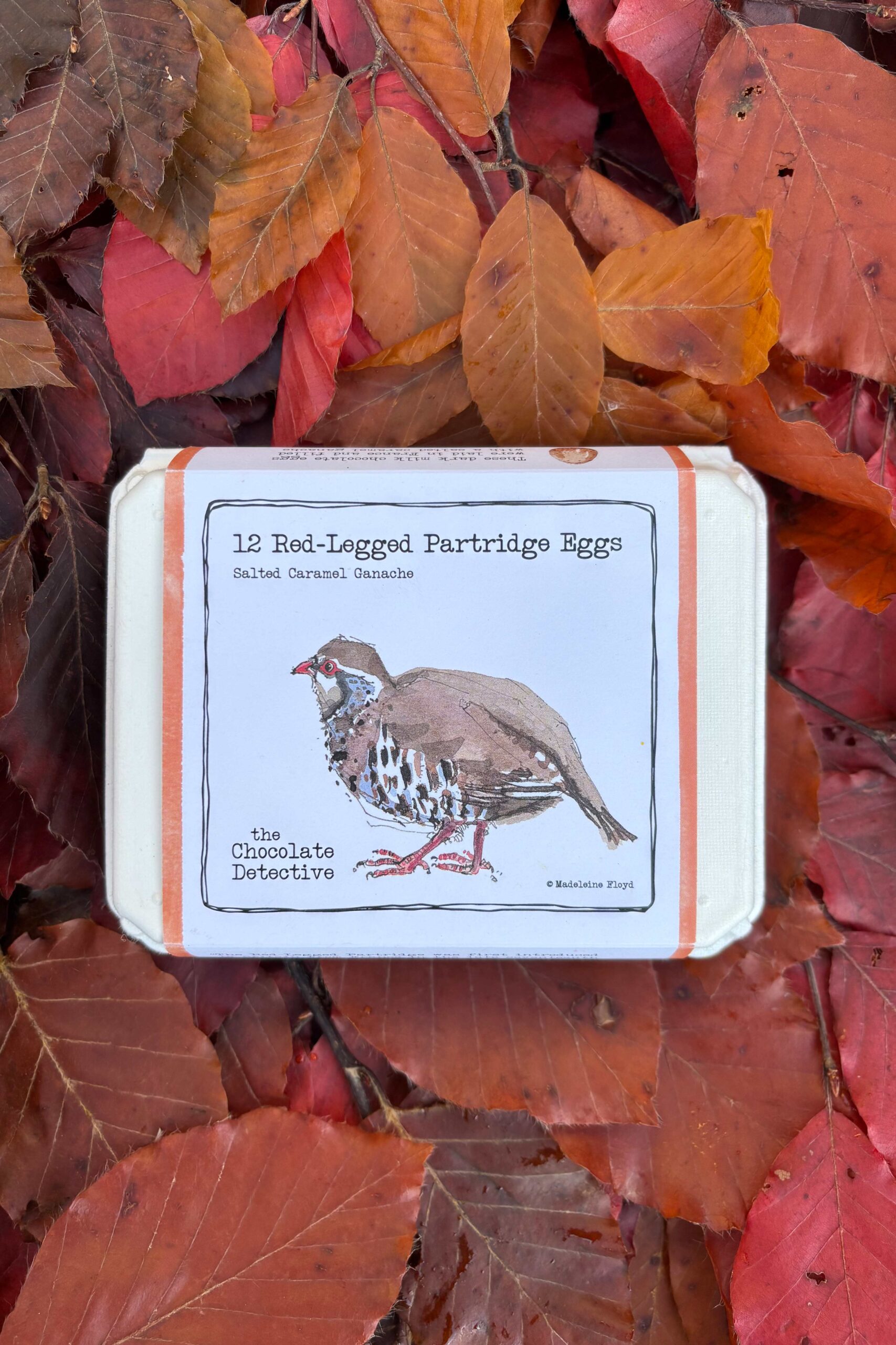 Chocolate detective partridge eggs on a background of autumnal leaves