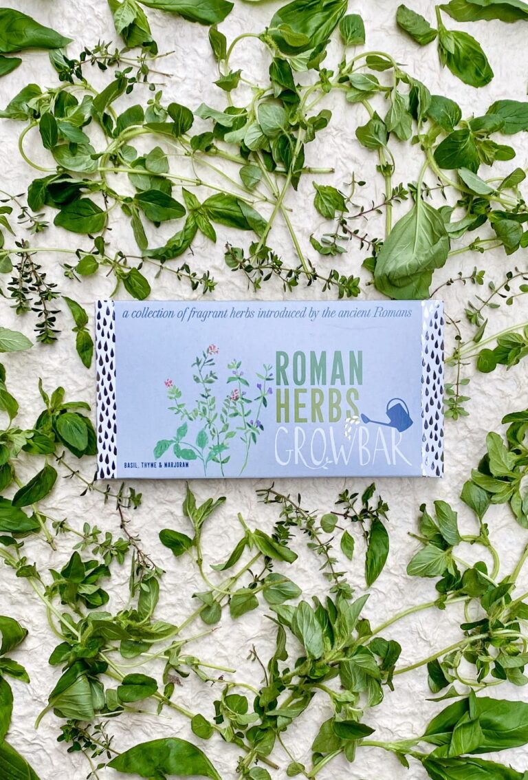 A light blue roman herbs growbar surrounded by marjoram leaves, thyme leaves and basil leaves.