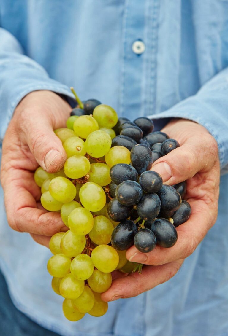 Red and white grapevine gift crate