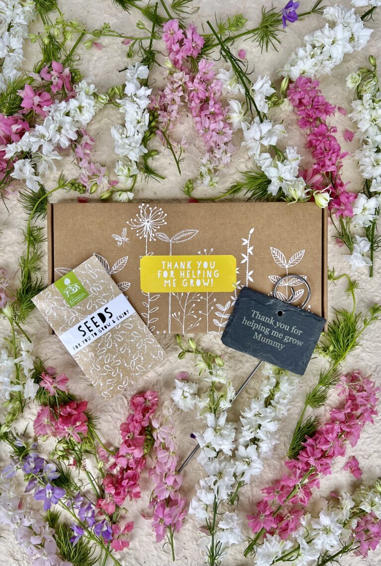 thank you for helping me grow seed kit on a bed of larkpsur with a personalised slate.