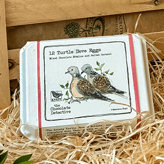 True love turtle dove