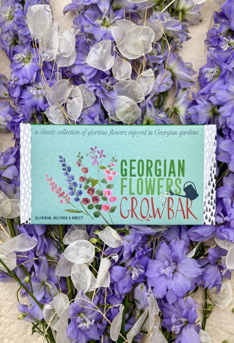 The Georgian Flowers Growbar includes plants from the georgian era, including hollyhocks, delphiniums and honesty.