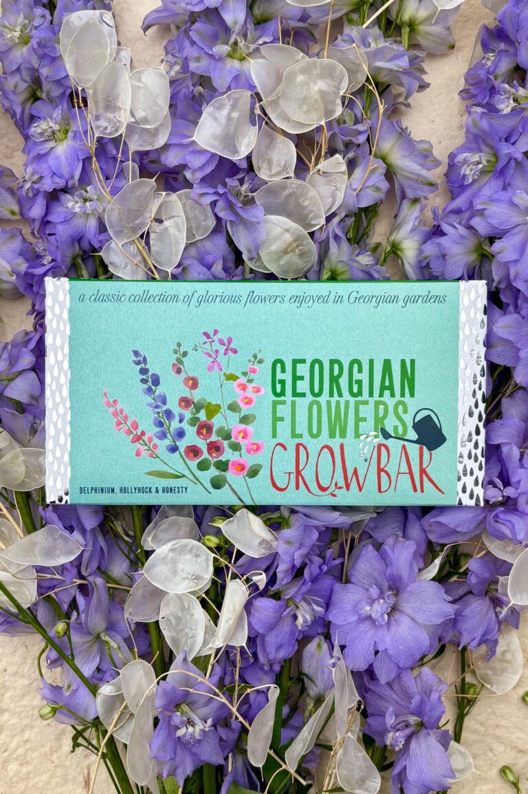The Georgian Flowers Growbar includes plants from the georgian era, including hollyhocks, delphiniums and honesty.