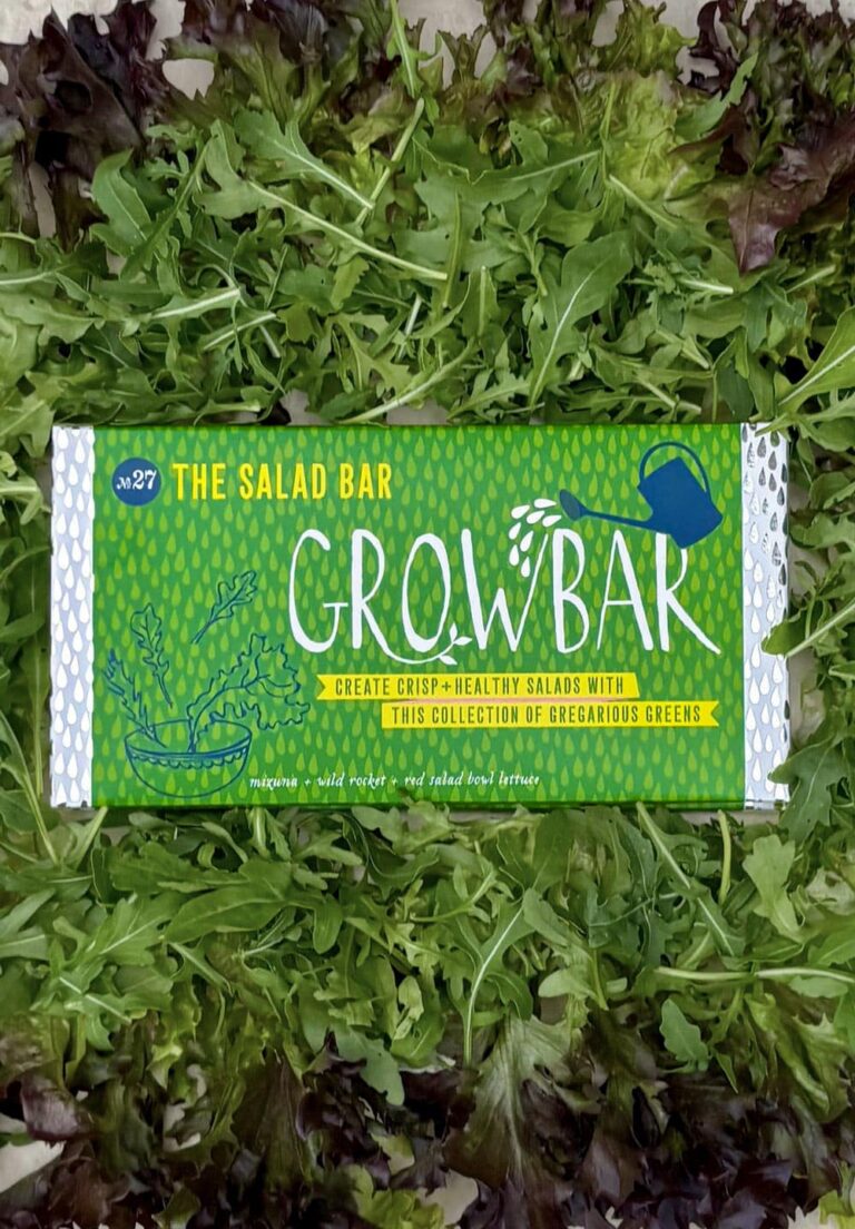Grow a salad garden with the Salad Growbar. Seen here on a bed of crisp and delicious red salad bowl lettuce.