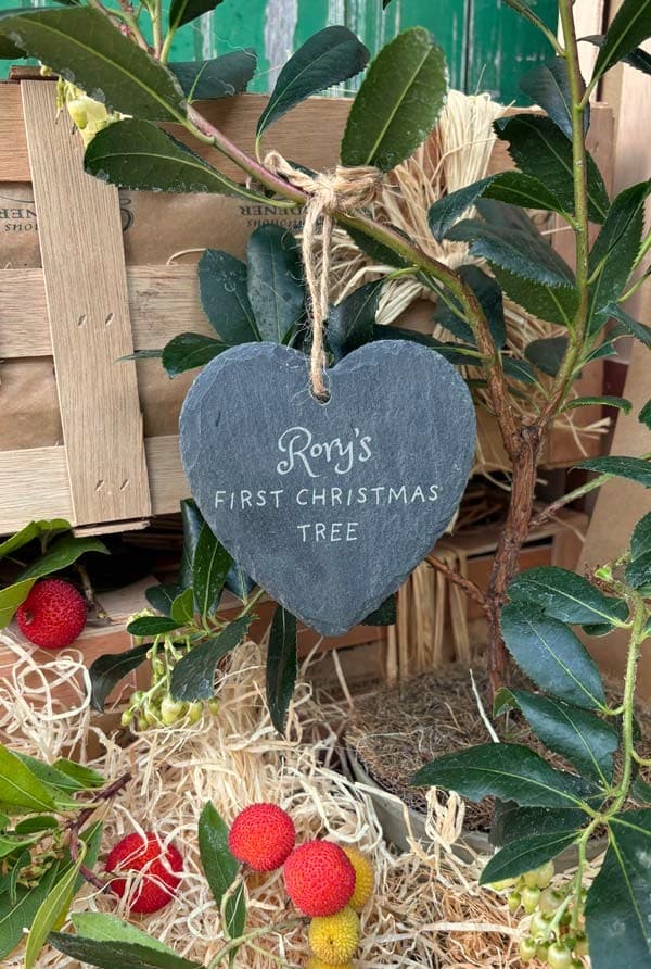 Our Baby’s First Christmas Gift is a living keepsake designed to grow alongside its young owner and serve as a lasting reminder of their very first festive season.