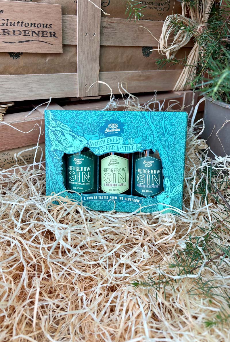 Spread joy this festive season with our Christmas gin gift!